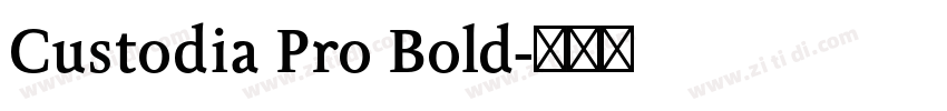 Custodia Pro Bold字体转换